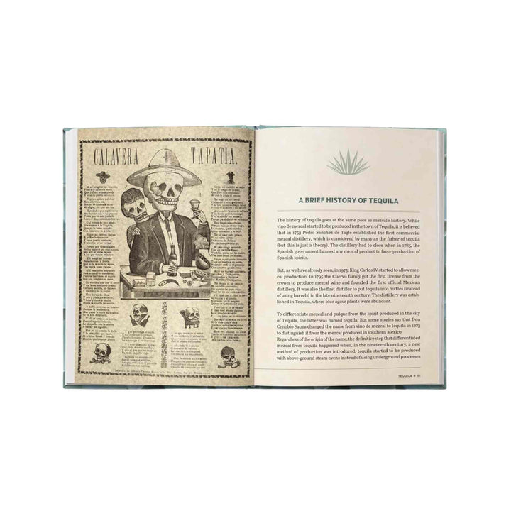 BIG TEQUILA: A COMPREHENSIVE GUIDE TO AGAVE SPIRITS, BOOK
