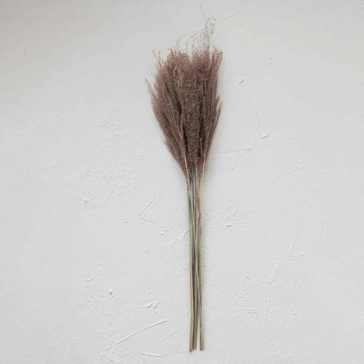 DRIED NATURAL GRASS PLUME