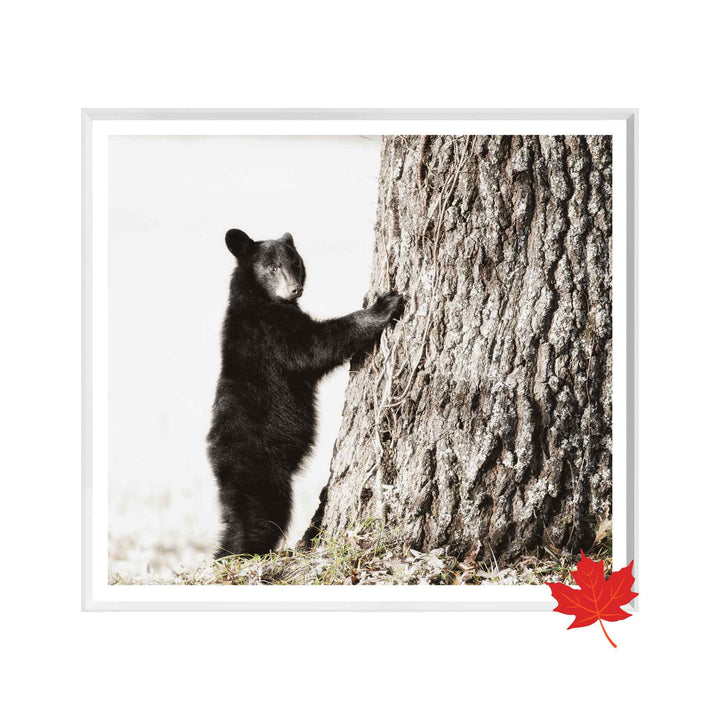 SMOKEY MOUNTAIN CUB, FRAMED ART