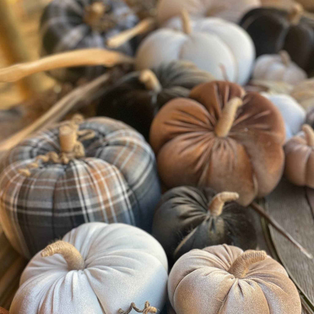 CHESTNUT VELVET PUMPKIN