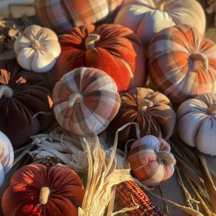 CHESTNUT VELVET PUMPKIN