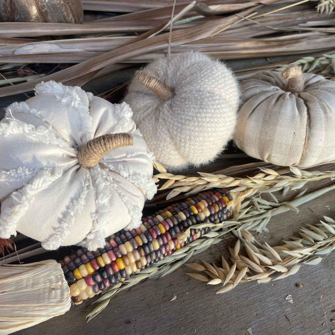 CREAM FUZZY FALL PUMPKIN