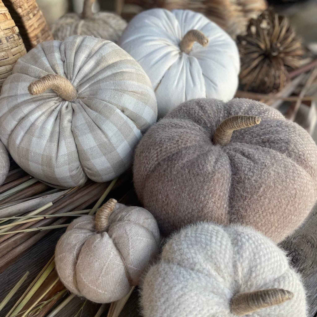 TAN CHECK PUMPKIN