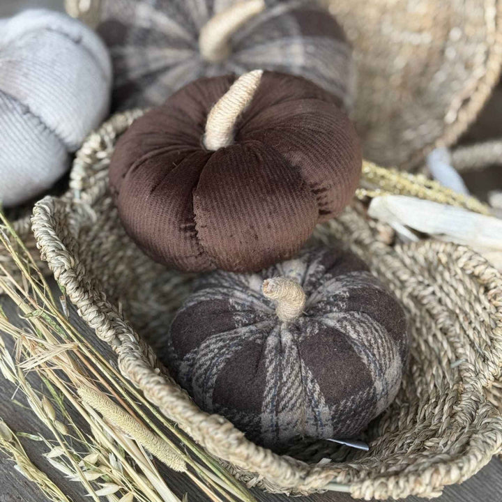 MOCHA CORDUROY PUMPKIN