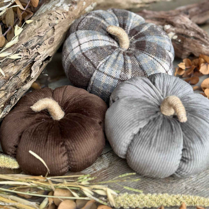 MOCHA CORDUROY PUMPKIN