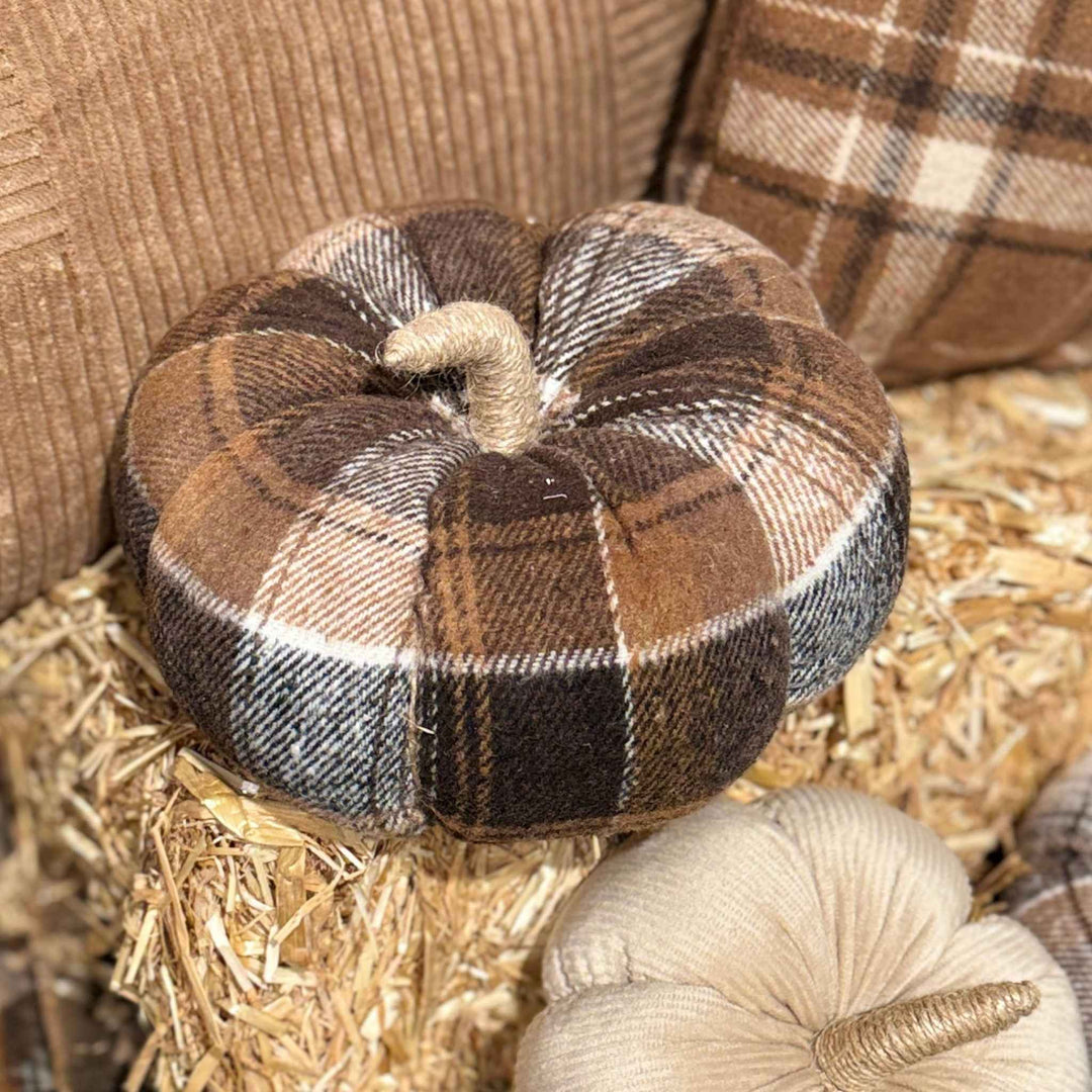 AUSTIN PLAID PUMPKIN