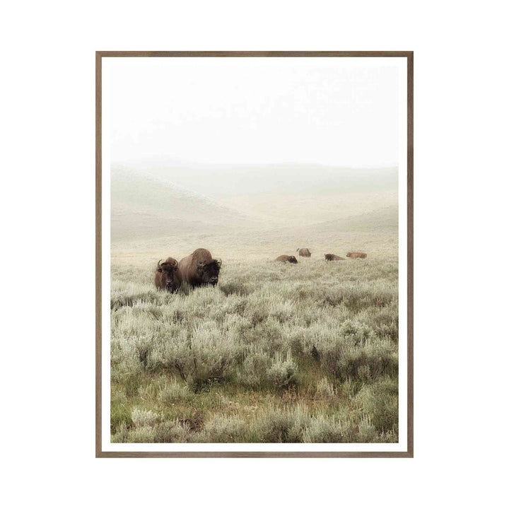 SAGEBRUSH HILLS II, FRAMED ART