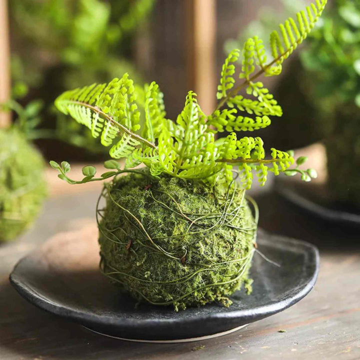 MOSSY MEADOW BALL