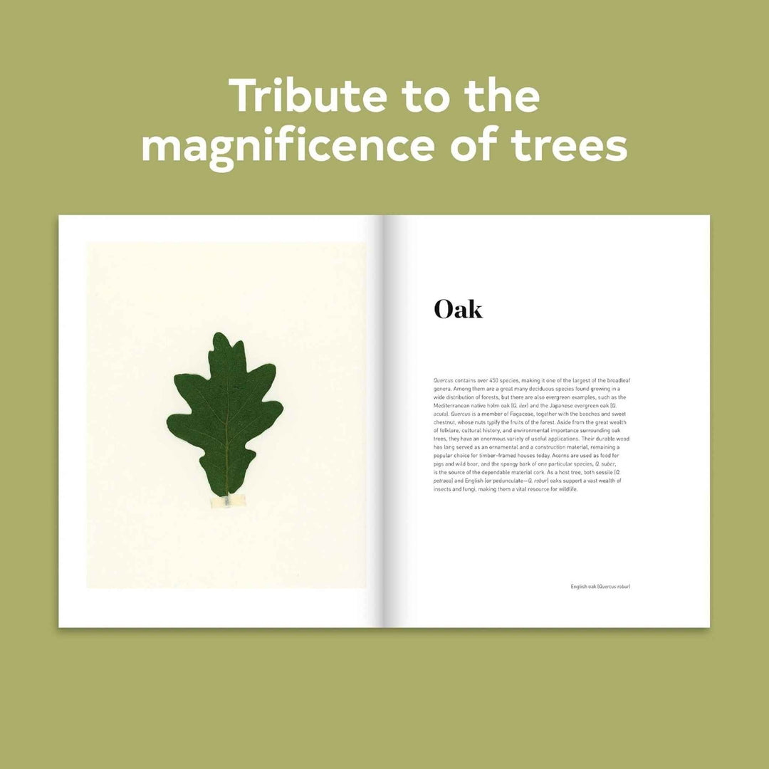 FOREST, BOOK