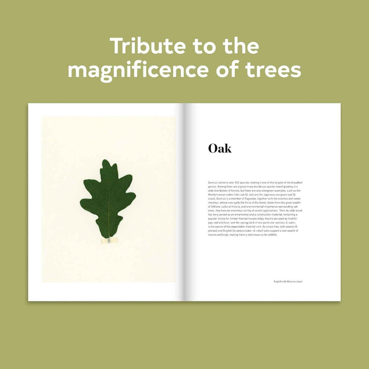 FOREST, BOOK
