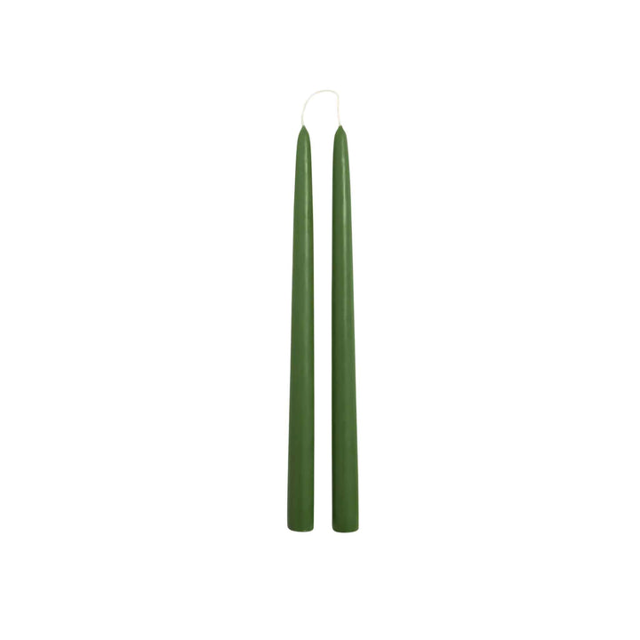 FRASIER FIR TAPER CANDLES, S/2