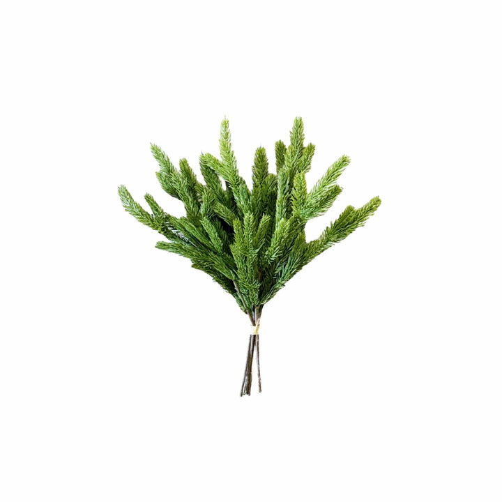FRESH TOUCH SPRUCE BUNDLE