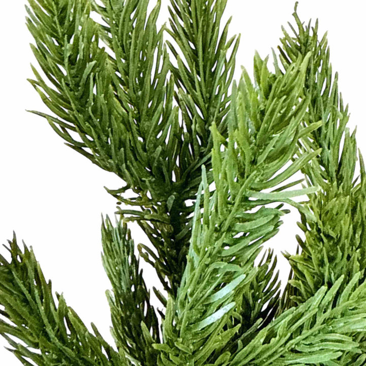 FRESH TOUCH SPRUCE BUNDLE