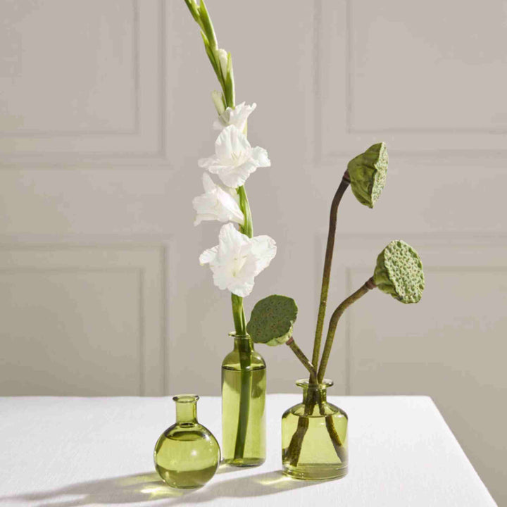CARLOTTA BUD VASE S/3, GREEN