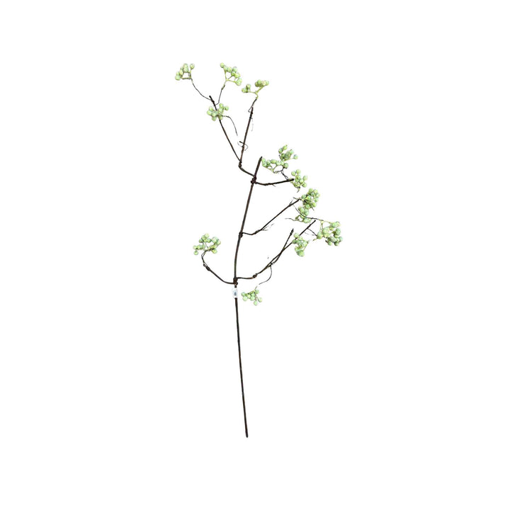 ZEN STYLE BERRY STEM