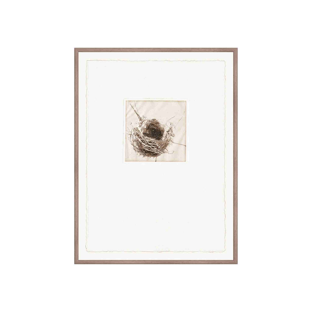 INTAGLIO NESTS, FRAMED ART