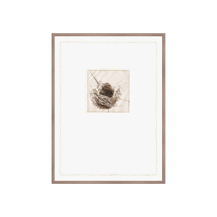 INTAGLIO NESTS, FRAMED ART