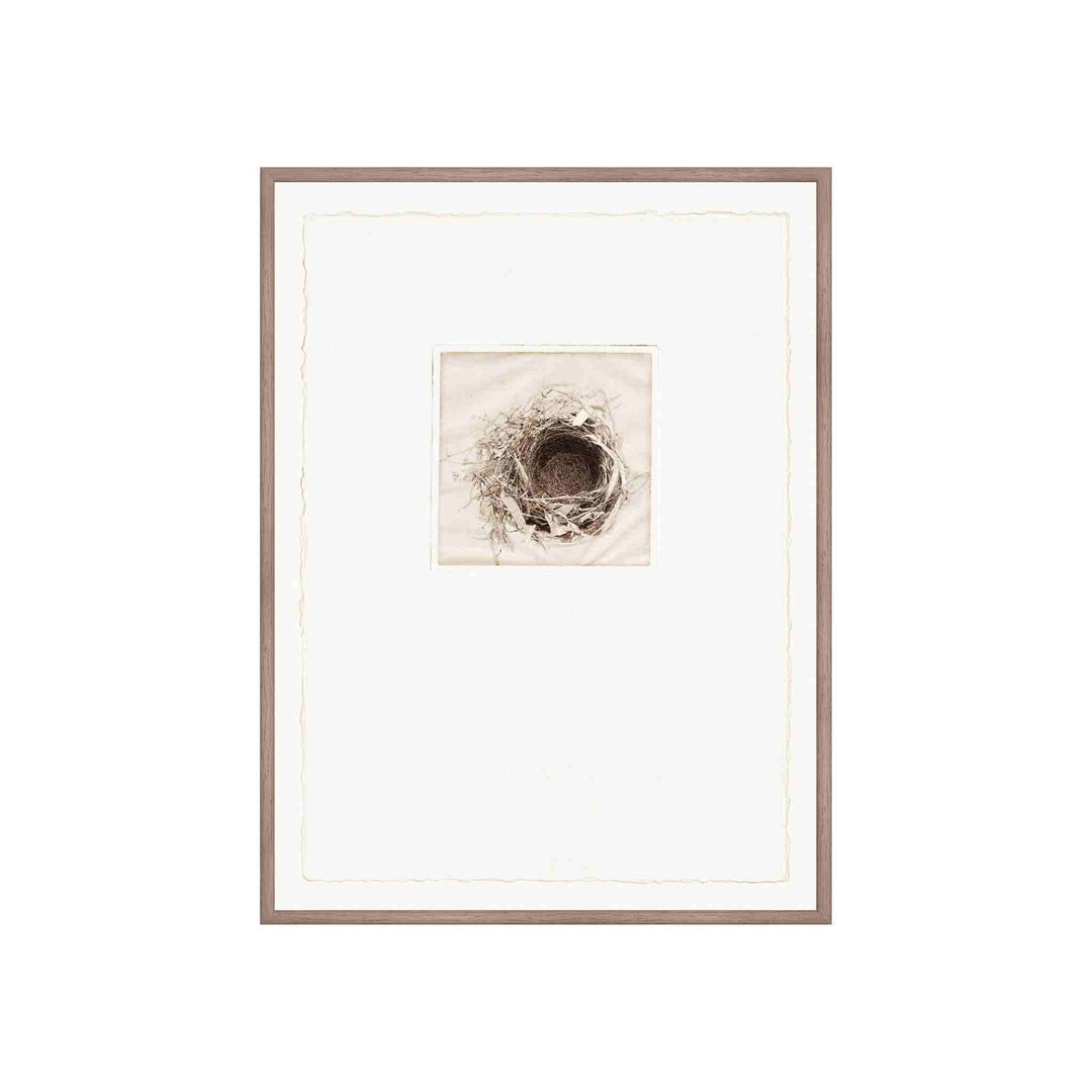 INTAGLIO NESTS, FRAMED ART