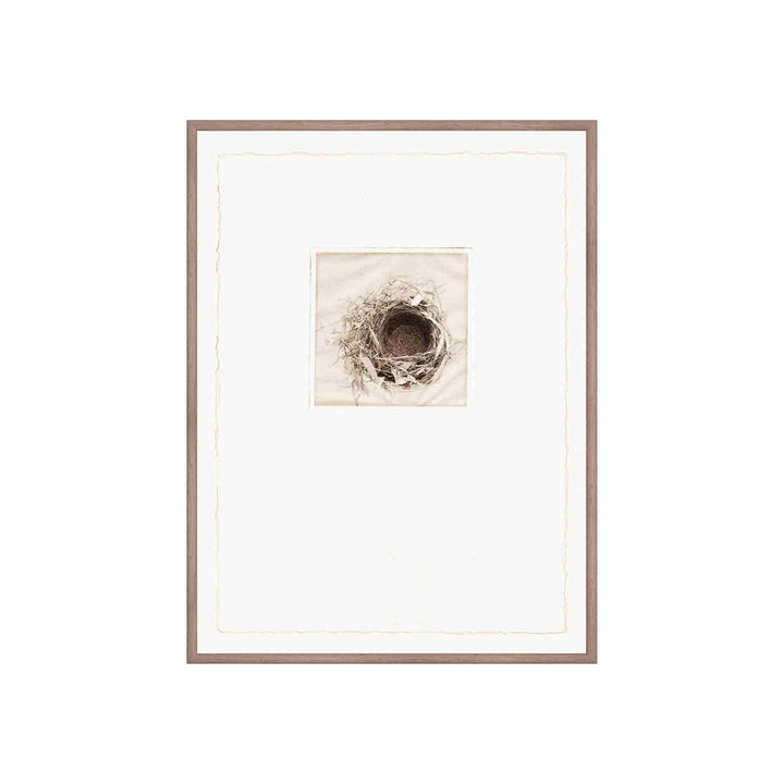 INTAGLIO NESTS, FRAMED ART