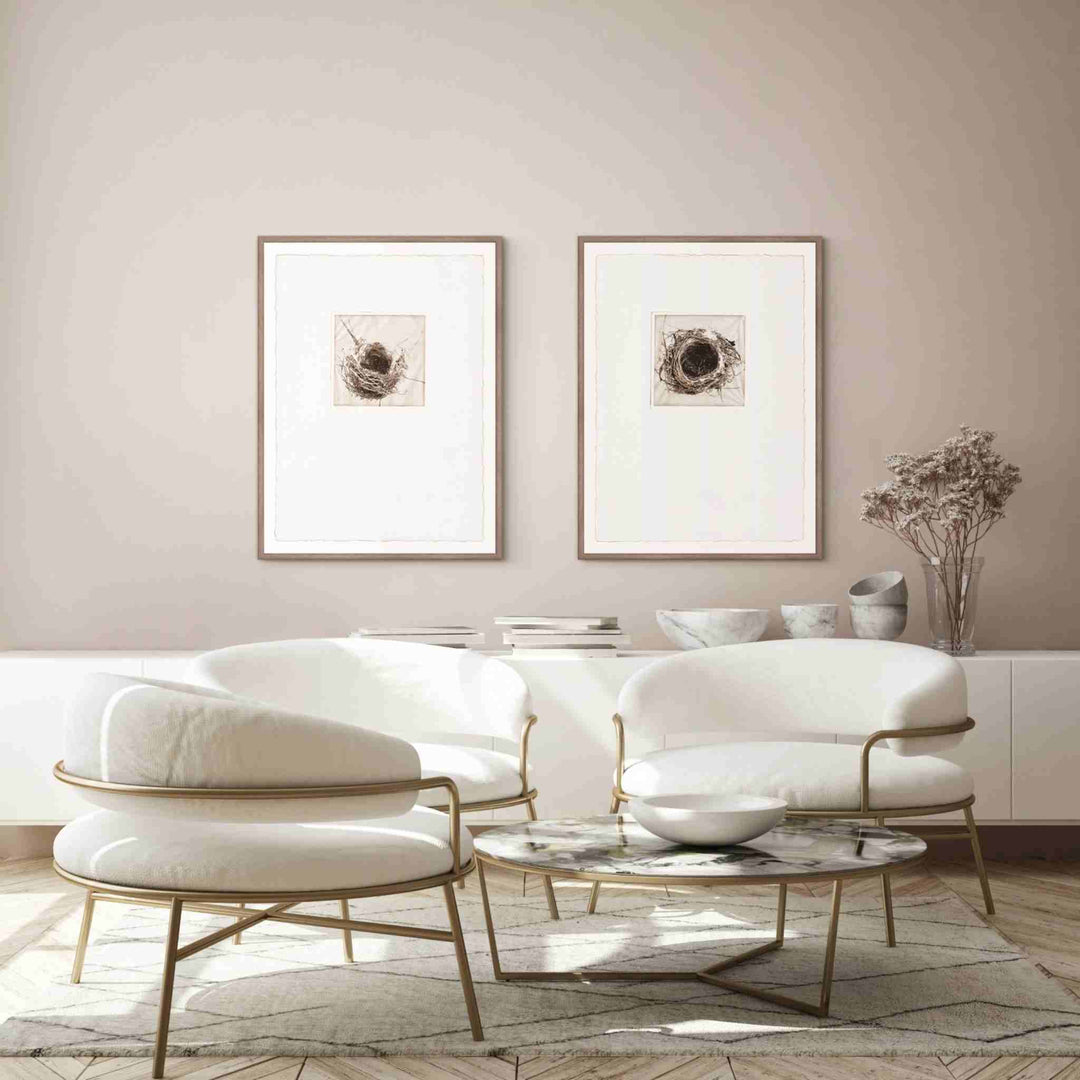 INTAGLIO NESTS, FRAMED ART