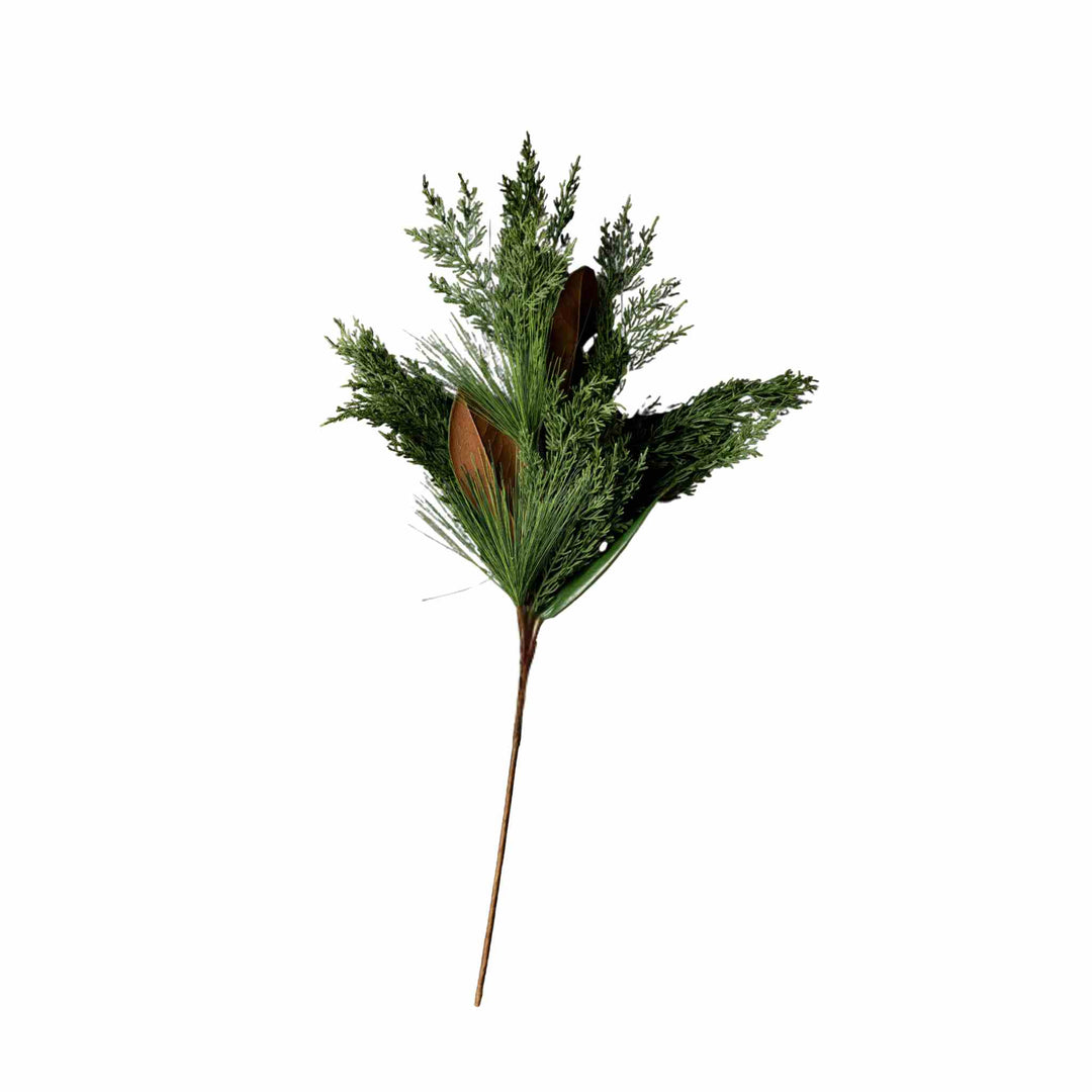 MAGNOLIA & CYPRESS PINE STEM