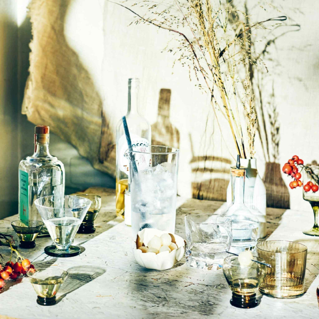 MARTINI, THE ULTIMATE GUIDE TO A COCKTAIL ICON, BOOK