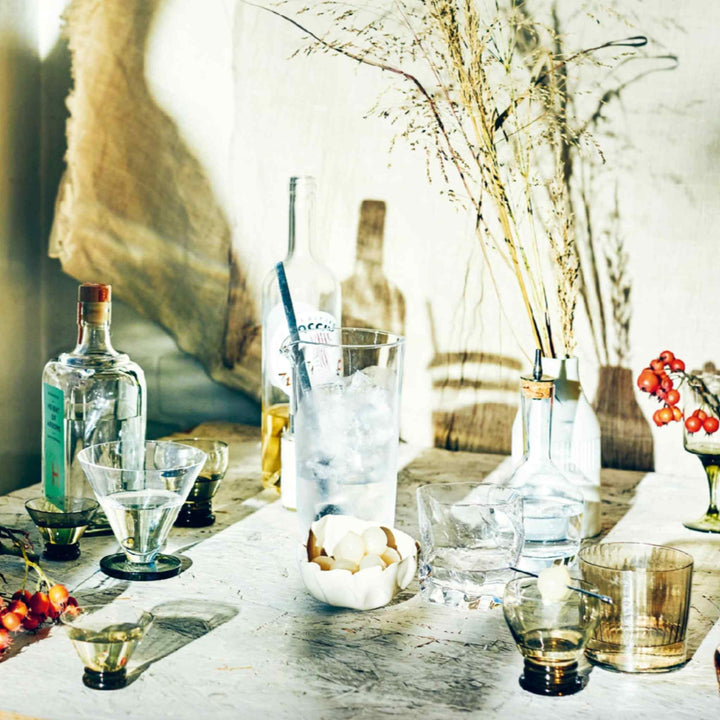 MARTINI, THE ULTIMATE GUIDE TO A COCKTAIL ICON, BOOK