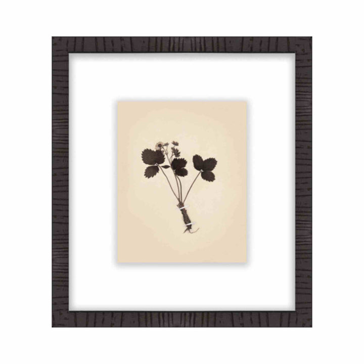 BOTANICAL, FRAMED ART