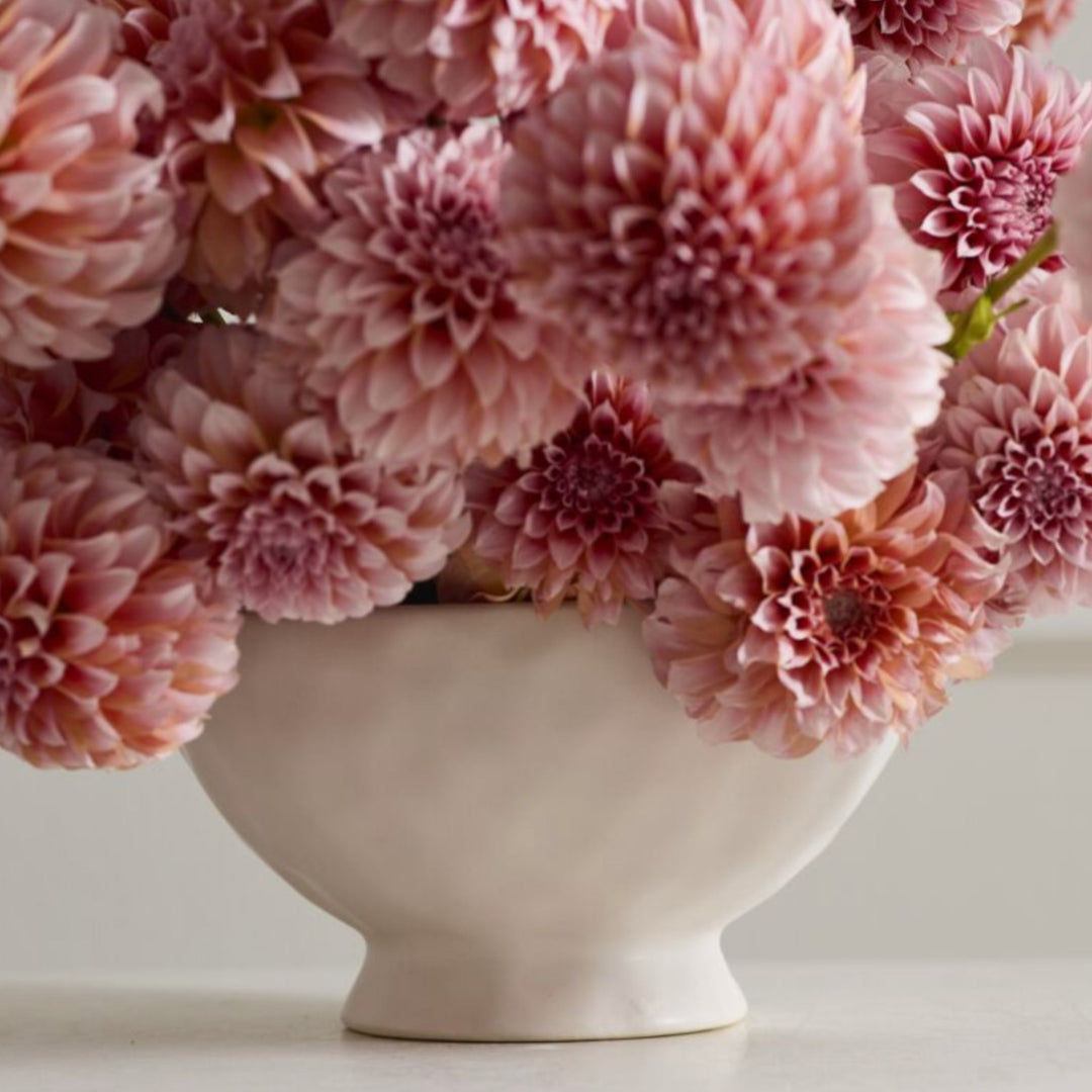 LOUISE COMPOTE