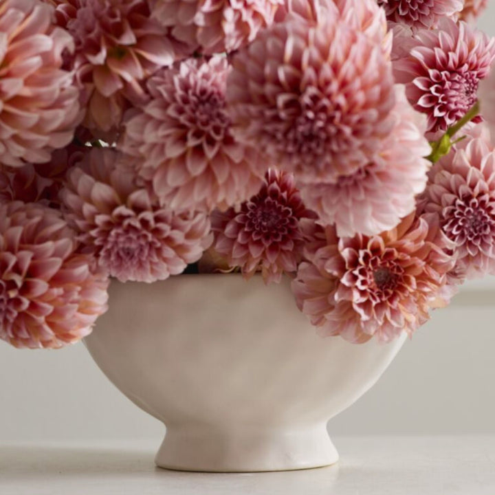 LOUISE COMPOTE