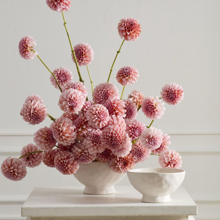 LOUISE COMPOTE