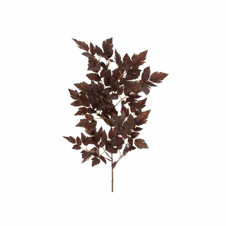 PLUM TREE BRANCH