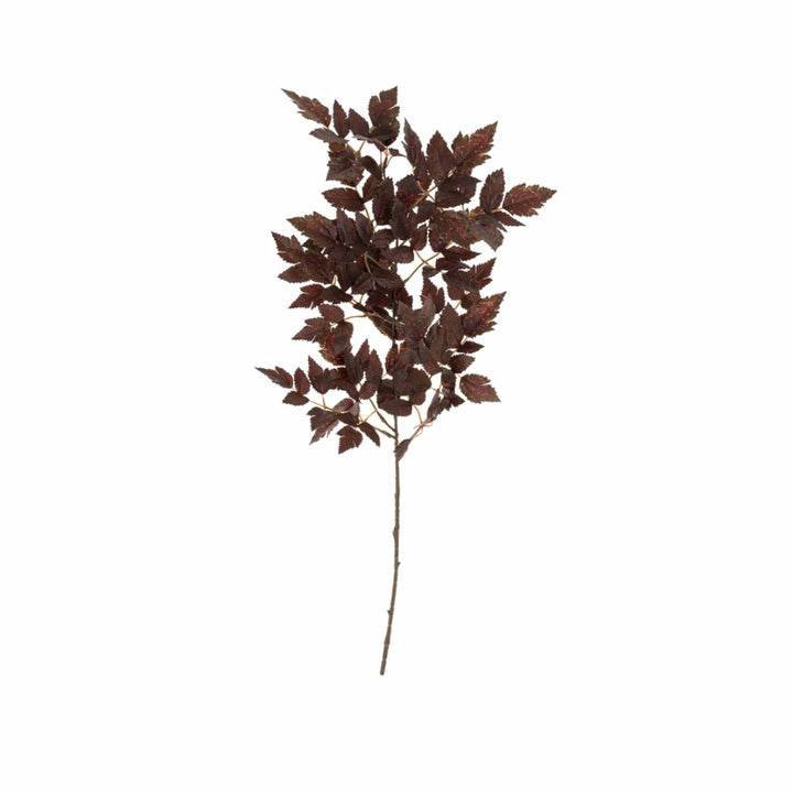 PLUM TREE BRANCH