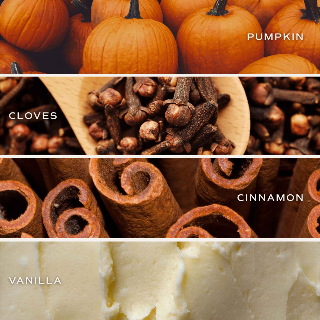 PUMPKIN SPICE, REED DIFFUSEER
