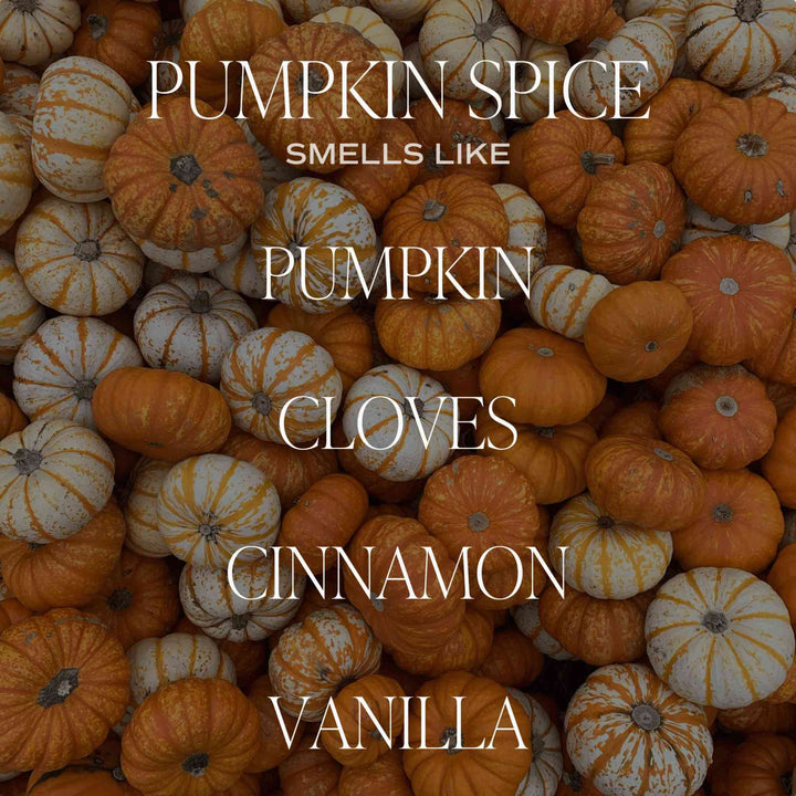 PUMPKIN SPICE, REED DIFFUSEER