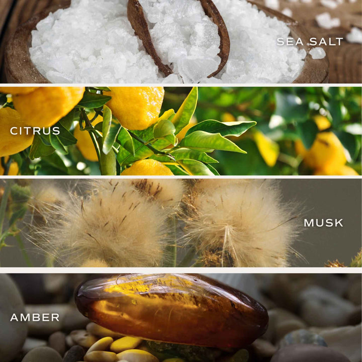SALT AND SEA REED DIFFUSER