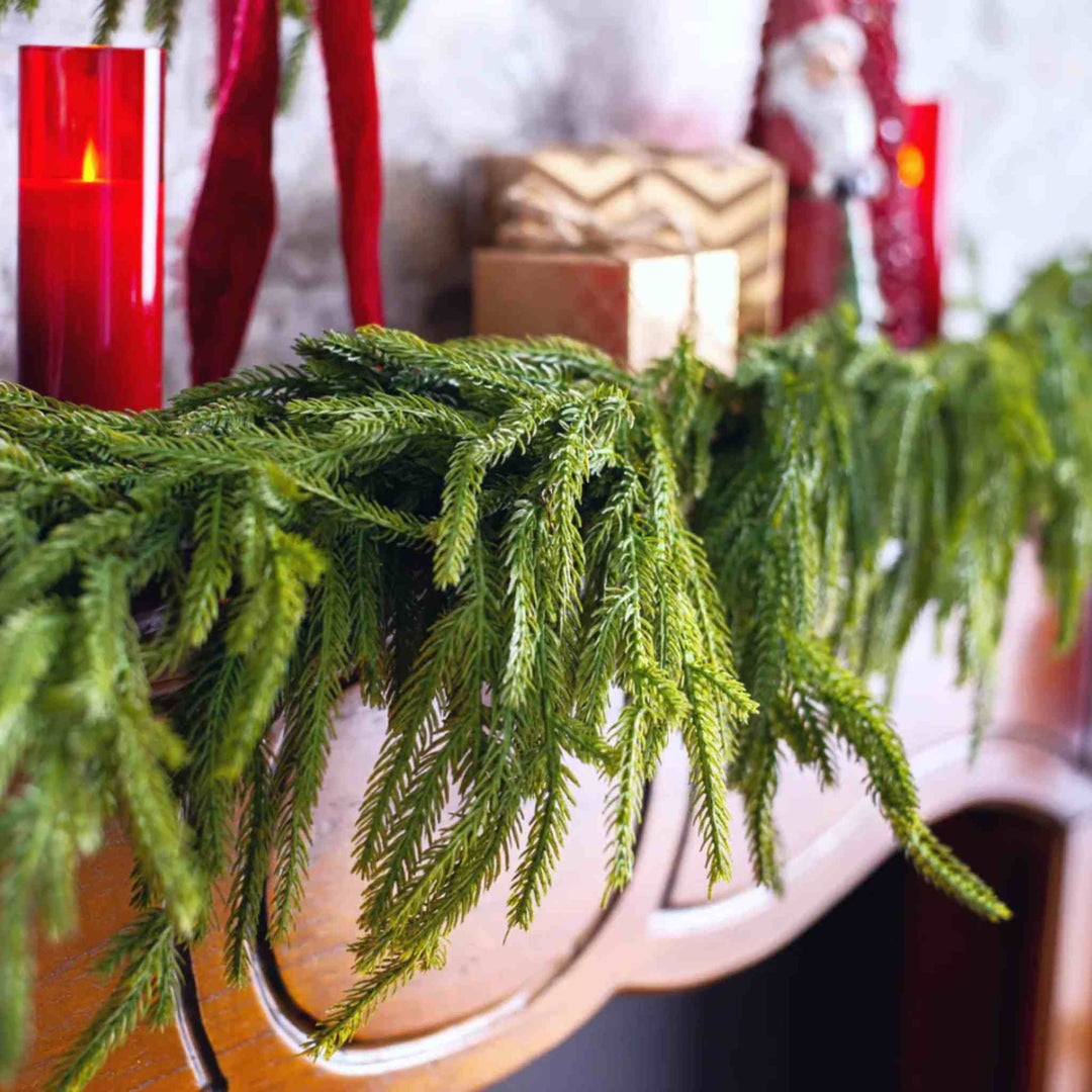 REAL FEEL NORFOLK PINE GARLAND, 10'