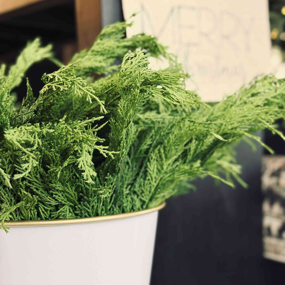 REAL FEEL WHISPY CEDAR BUSH, 20"