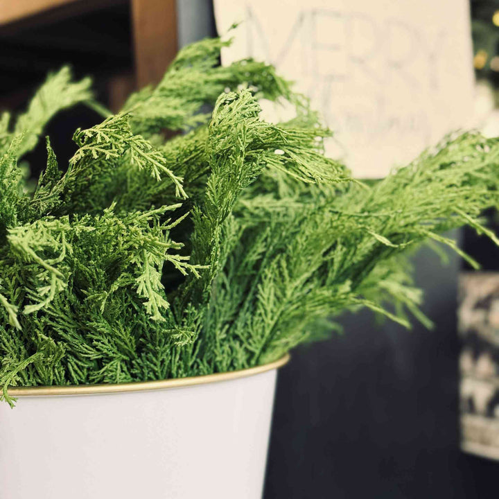 REAL FEEL WHISPY CEDAR BUSH, 20"