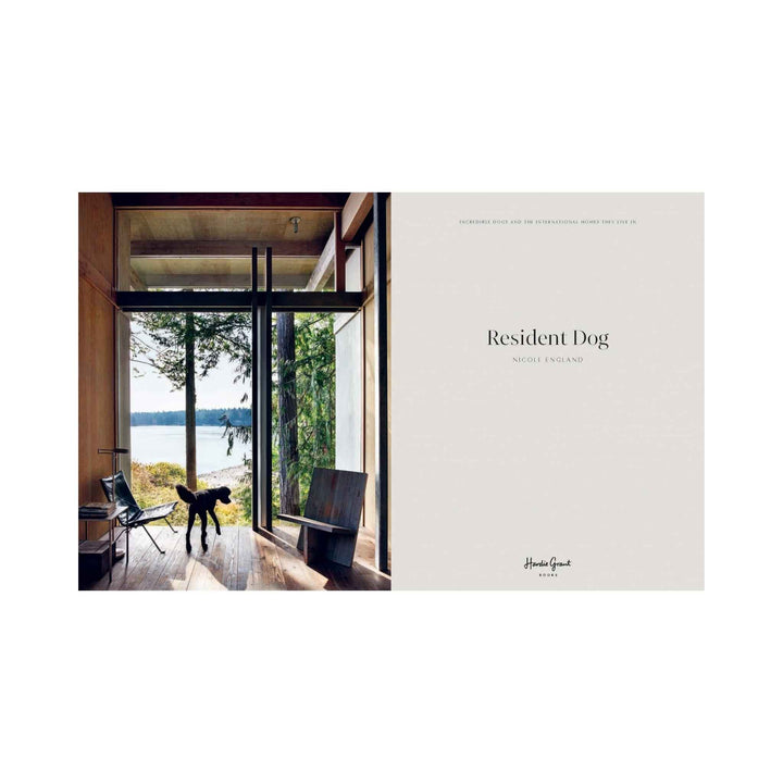 RESIDENT DOG, BOOK