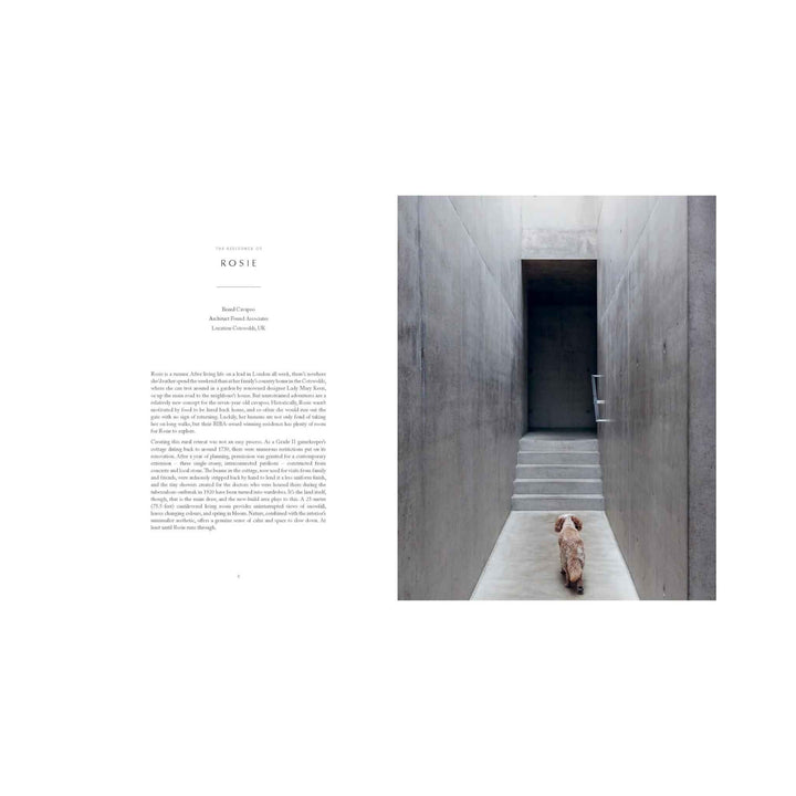 RESIDENT DOG, BOOK