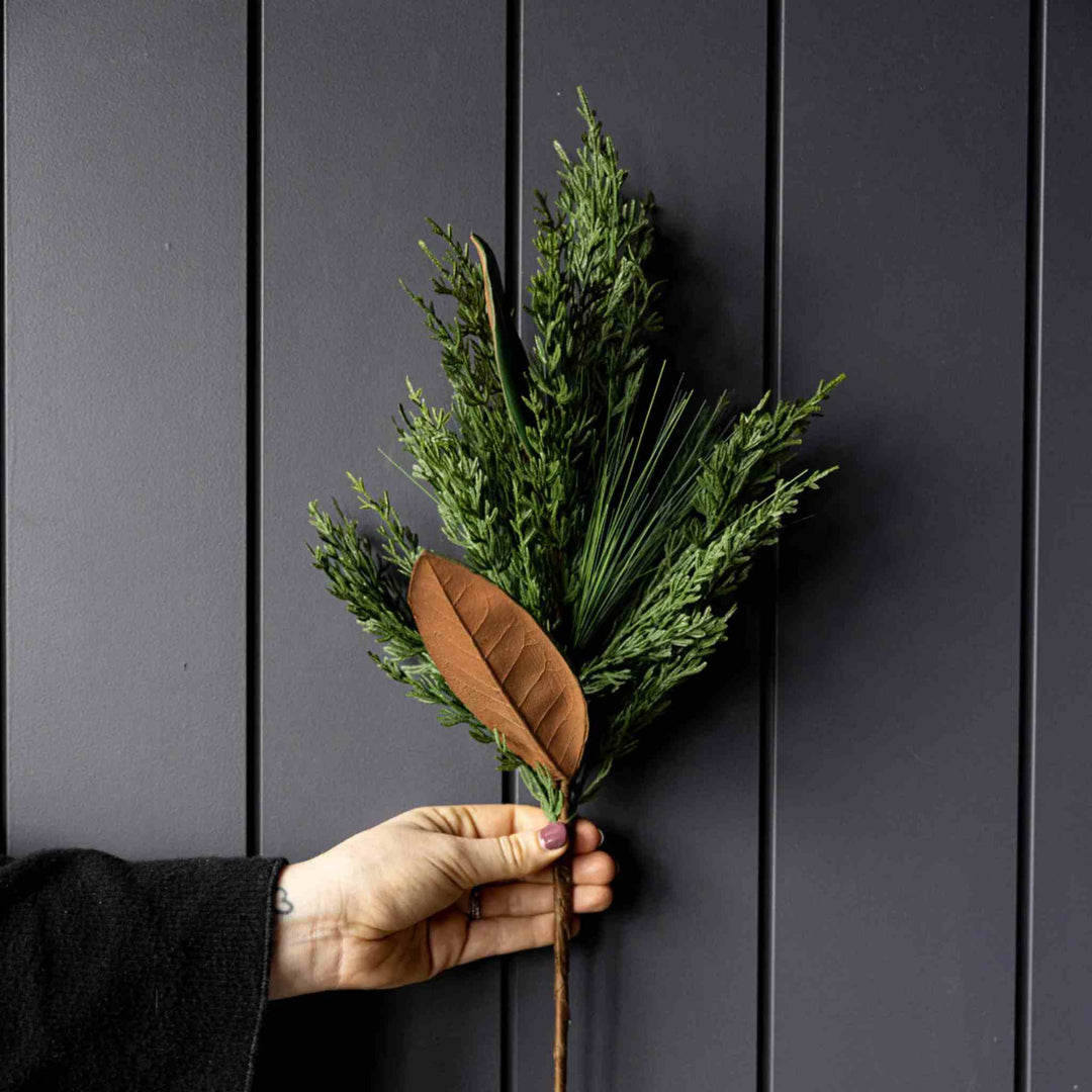 MAGNOLIA & CYPRESS PINE STEM
