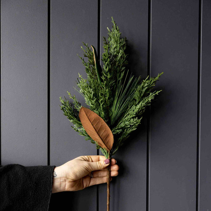 MAGNOLIA & CYPRESS PINE STEM