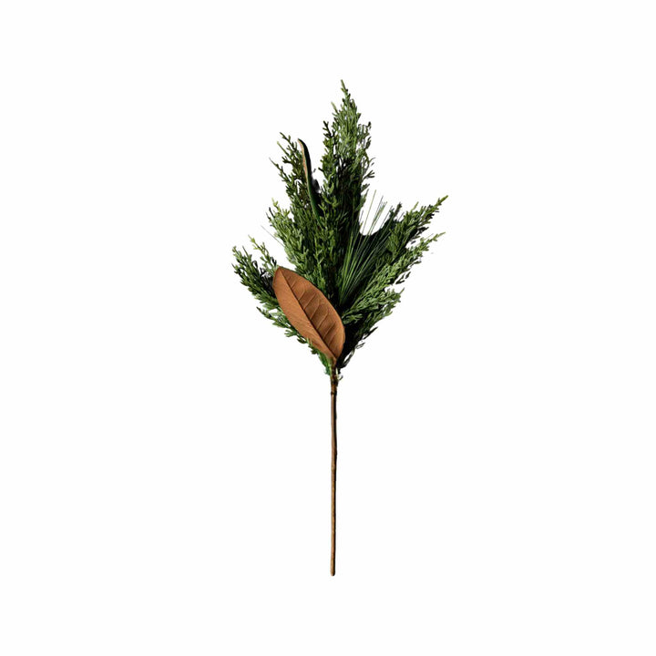 MAGNOLIA & CYPRESS PINE STEM