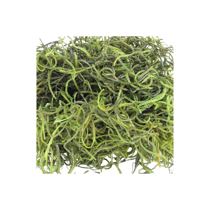 SPANISH MOSS, GREEN