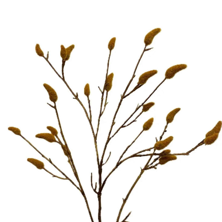 PUSSY WILLOW SPRAY