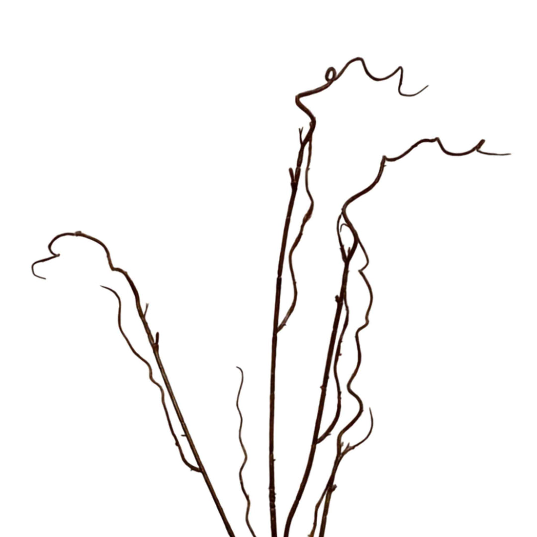 TWIG BRANCH
