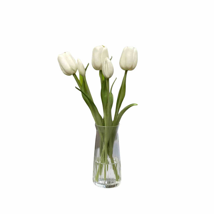 WHITE DAY DREAM TULIP BUNDLE
