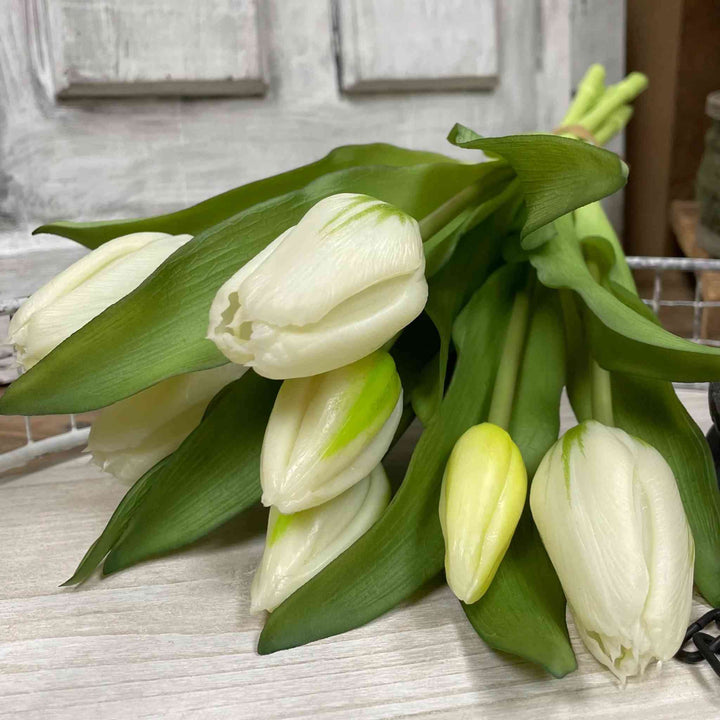 FRESH TOUCH WHITE TULIP BUNDLE