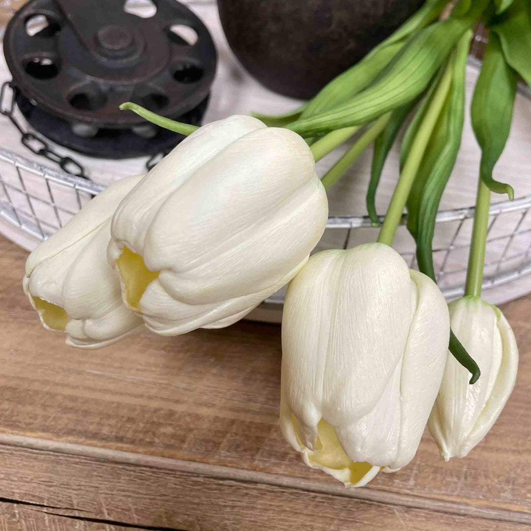 WHITE DAY DREAM TULIP BUNDLE
